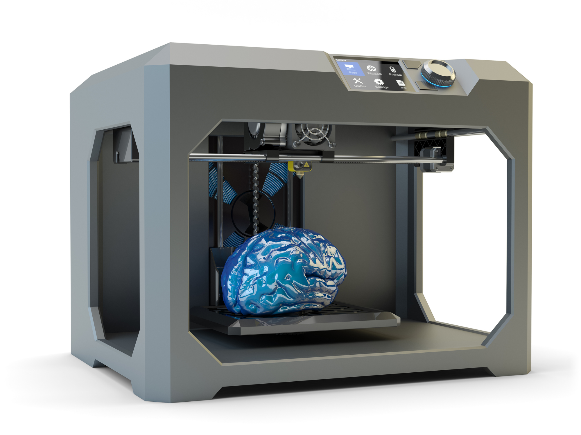 Ombord Saucer Rose 3D gennembrud: Nu kan alle printe en interaktiv model af hjernen – Dit  Hedensted