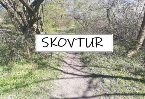 Foto: SDL